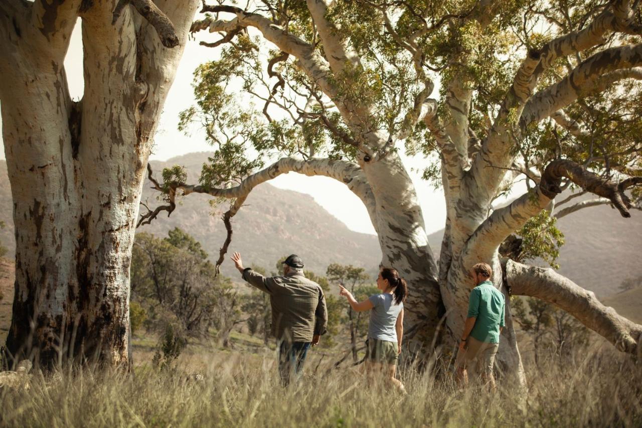 Discovery - Wilpena Pound Hotel 3*