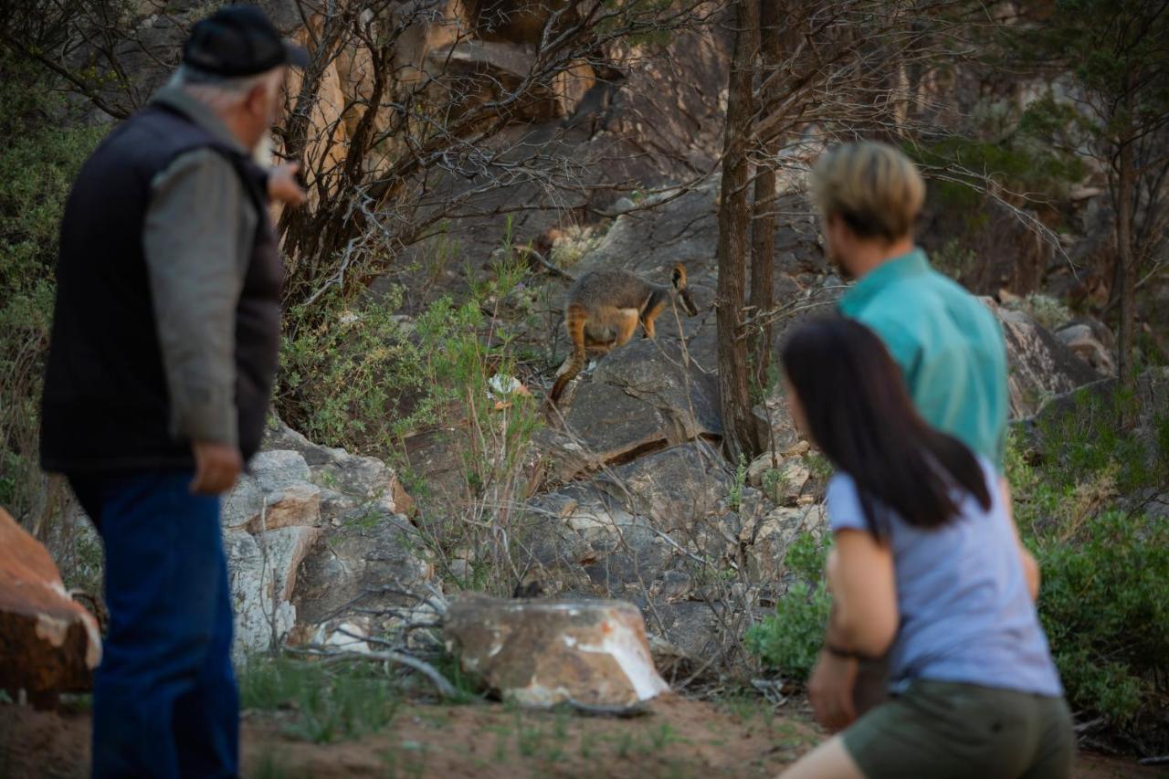 Discovery - Wilpena Pound 3*