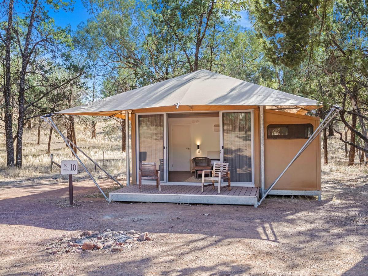 Discovery - Wilpena Pound Ikara-Flinders Ranges National Park