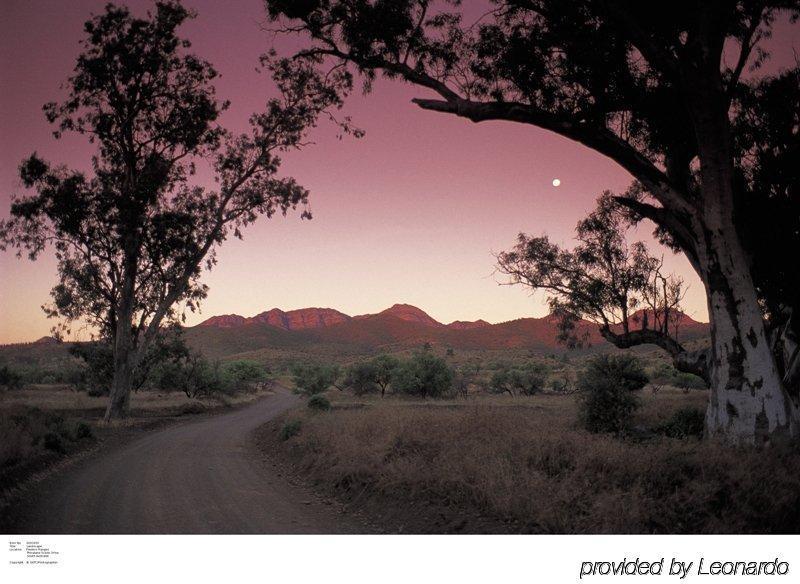 Discovery - Wilpena Pound 3* Ikara-Flinders Ranges National Park