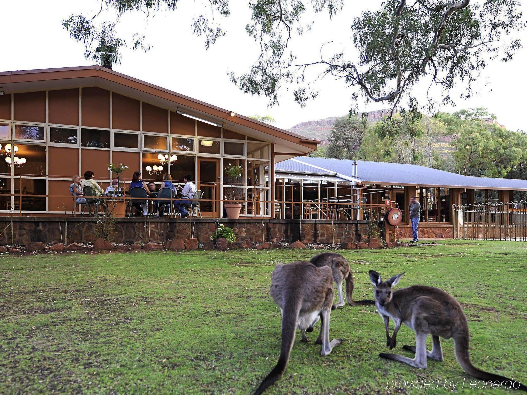 Discovery - Wilpena Pound Ikara-Flinders Ranges National Park
