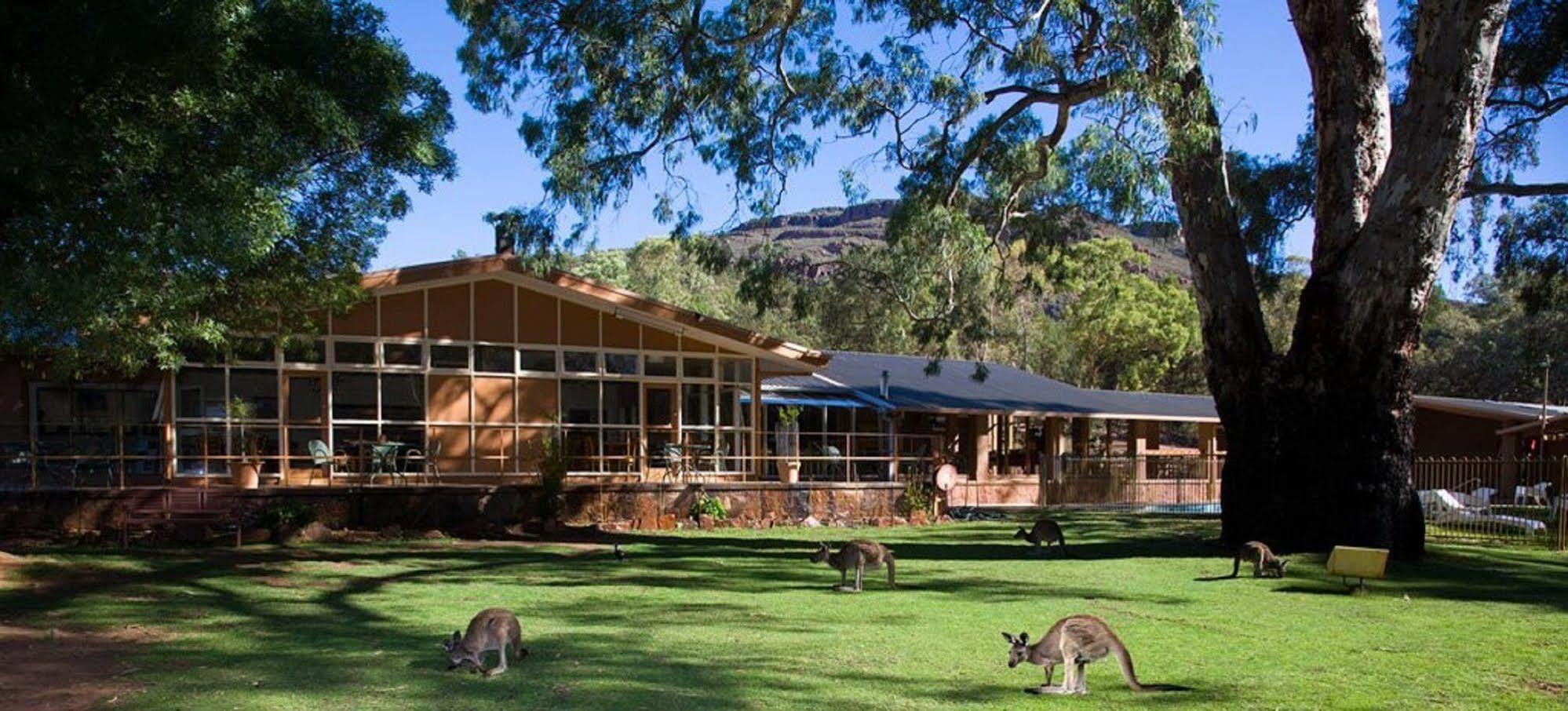 Hotel Discovery - Wilpena Pound