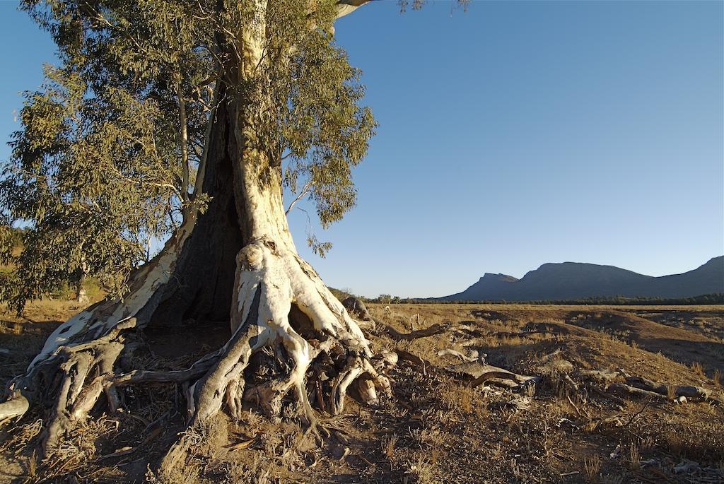Discovery - Wilpena Pound 3*