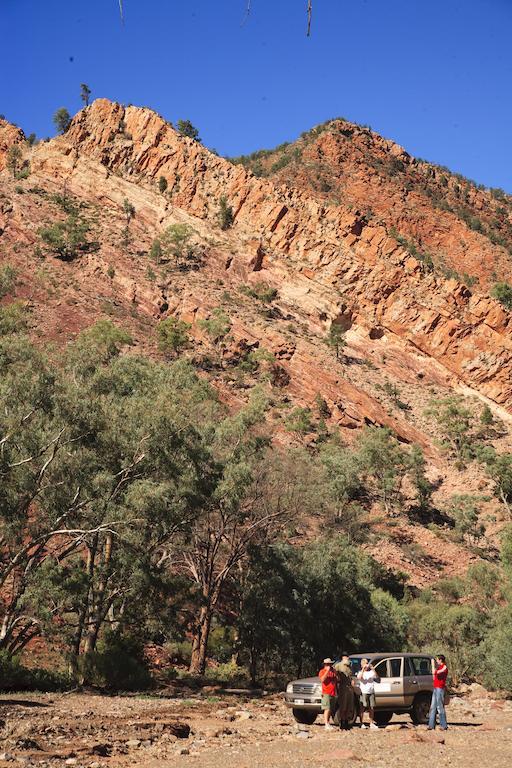 Hotel Discovery - Wilpena Pound Ikara-Flinders Ranges National Park
